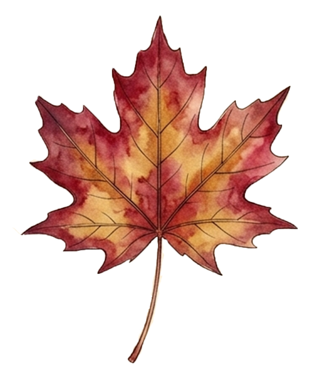 une feuille