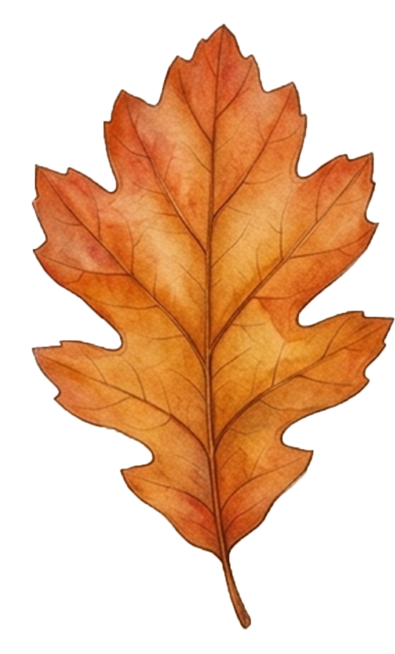 une feuille