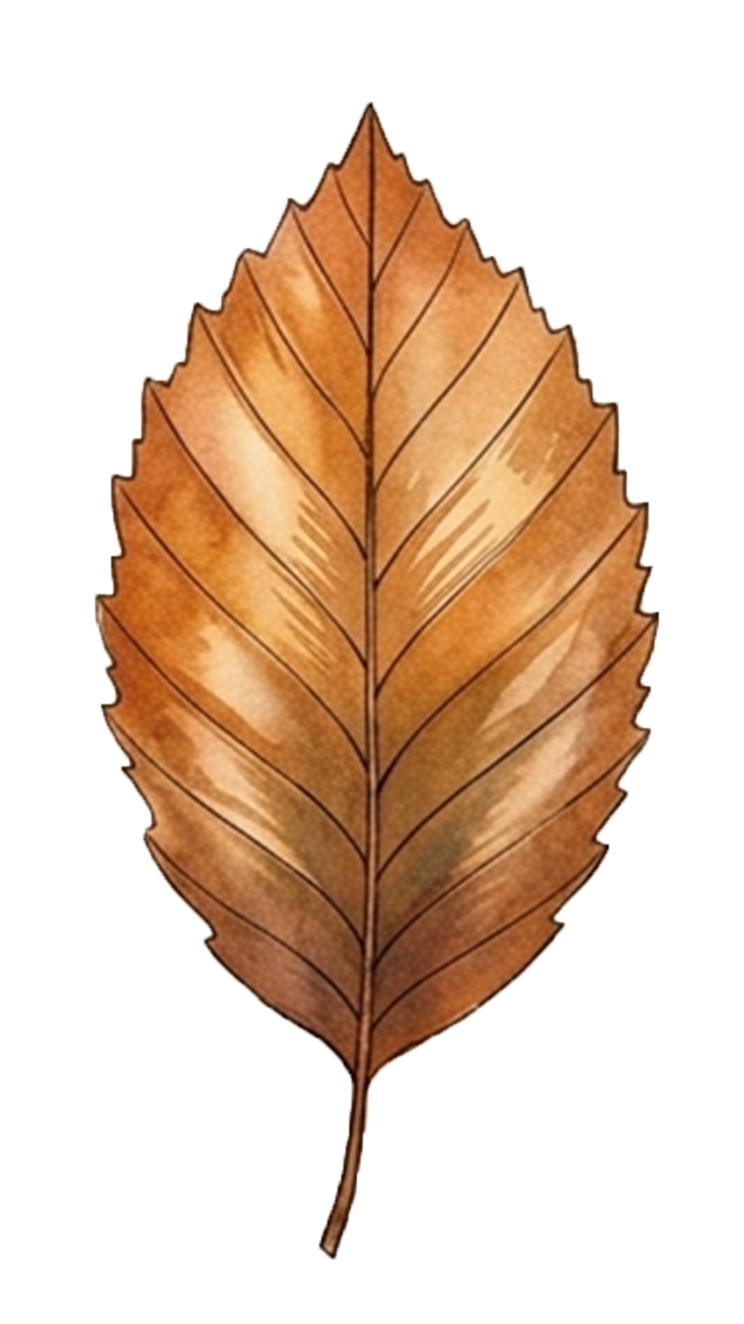 une feuille